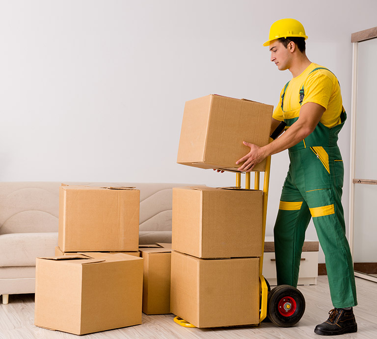 Movers and Packers in Sharjah