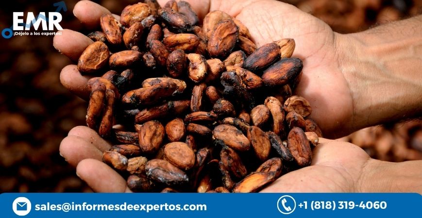 Global Cocoa Market