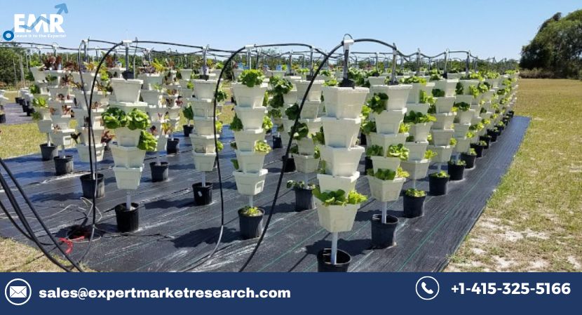 Hydroponics Market