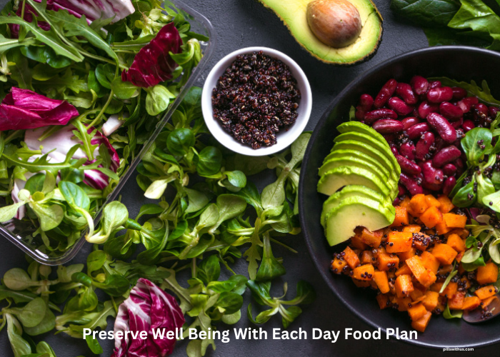 Preserve Well Being With Each Day Food Plan