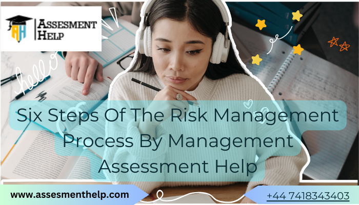 Six Steps Of The Risk Management Process By Management Assessment Help