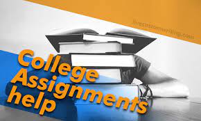 College assignment help