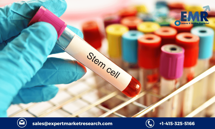 Stem Cell Market