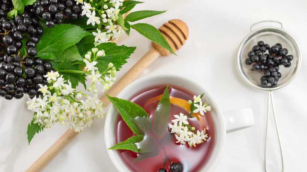 Elderberry Health Benefits: the small berry with large benefits