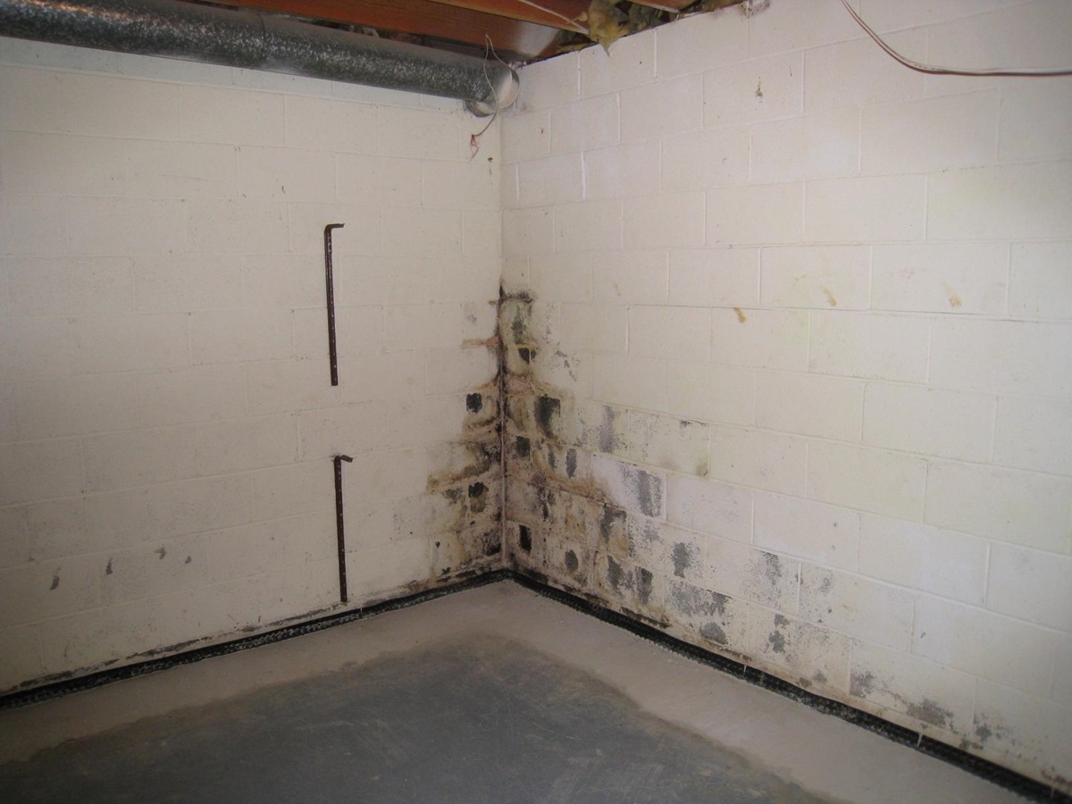 How To Remove Black Mold From Basement