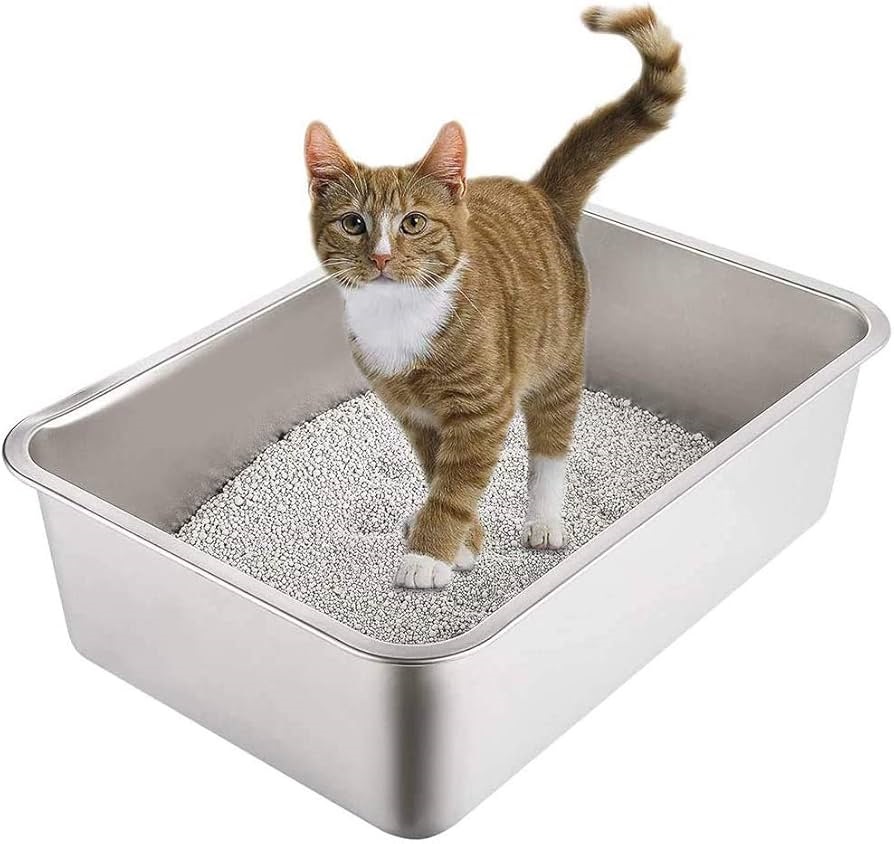 How To Remove Odor From Cat Litter Box