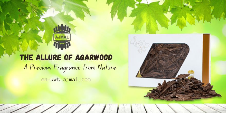 agarwood