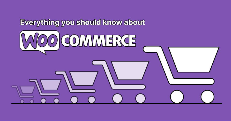 What-is-WooCommerce_-Everything-you-should-know-about-it-1