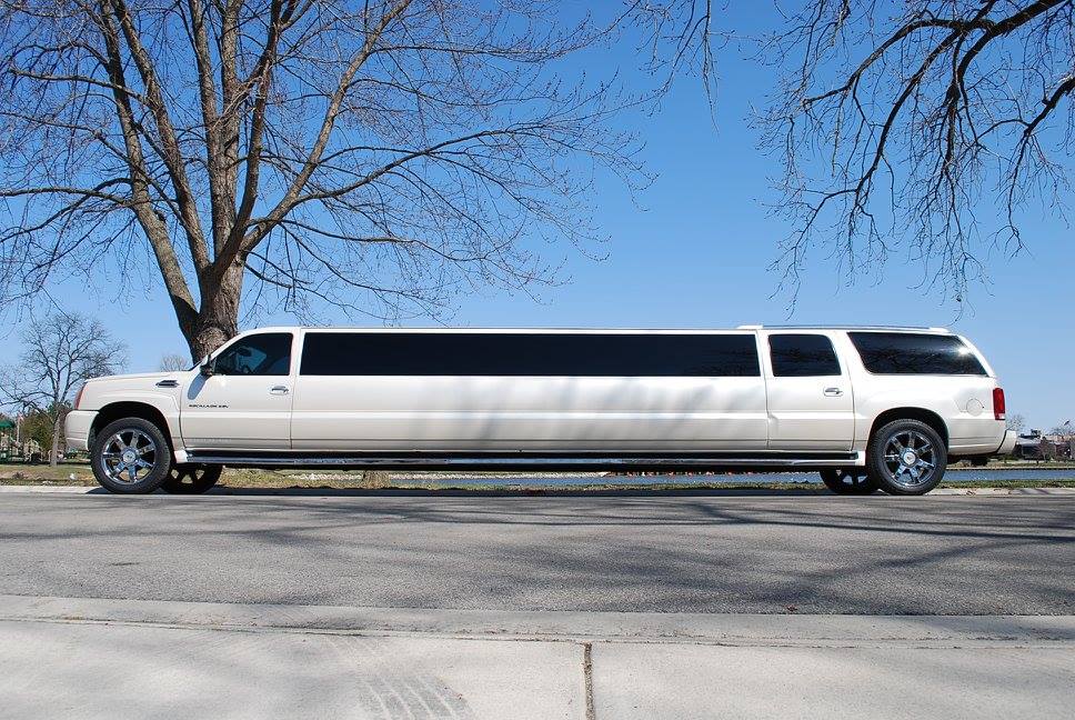 Berrien Limousine service